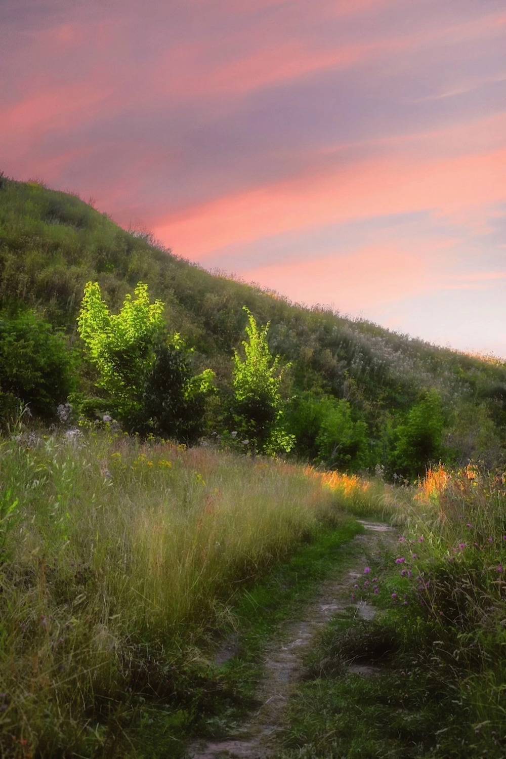пейзаж, landscape, nature, природа, лето, summer, sunset, закат, гора, Julia Kaissa