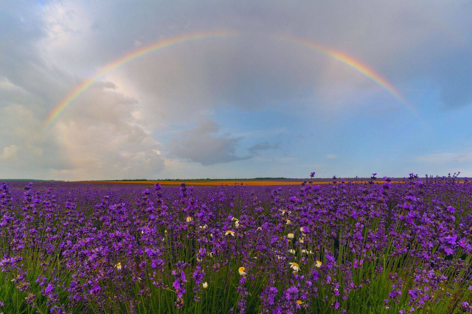 , Юлия Мальцева