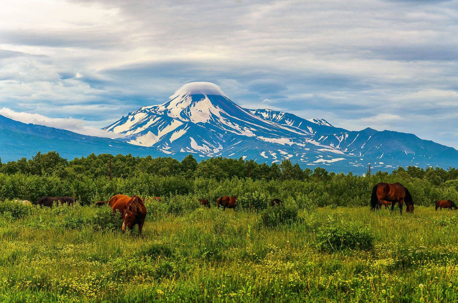 камчатка горы облака, Александр Березуцкий