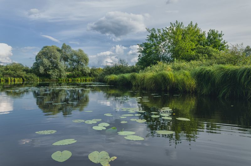 вечер пейзаж путешествия Вечер на старице фото превью