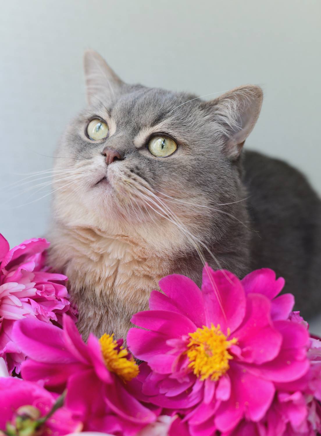 , Божена Пучко