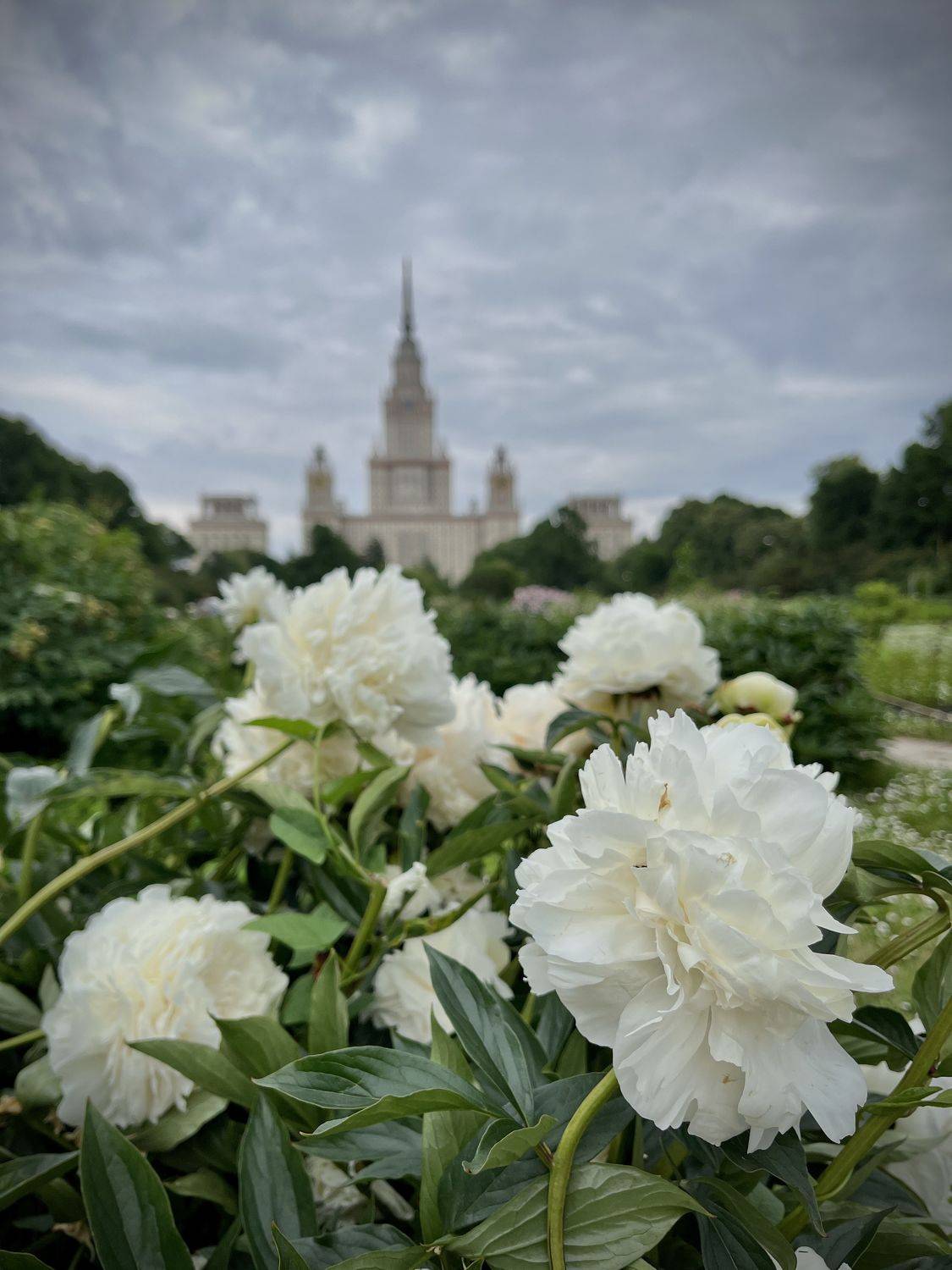 , Бравичева Анастасия