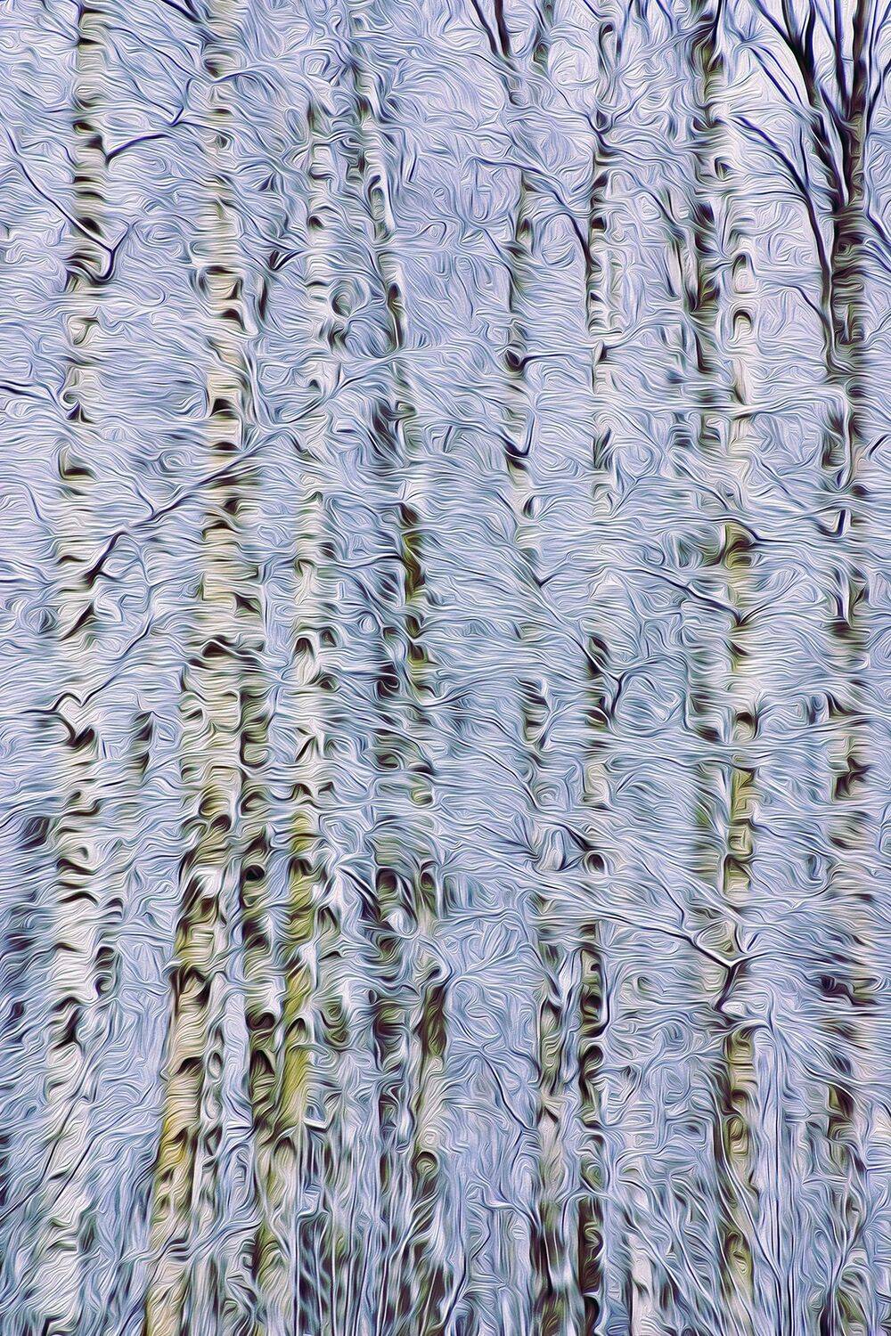 , Андрей Петросян