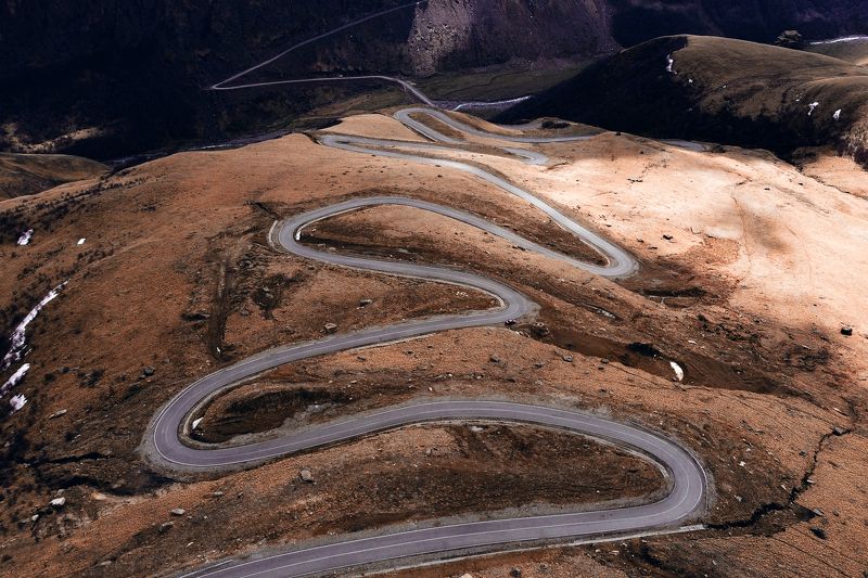 Горная змея фото превью