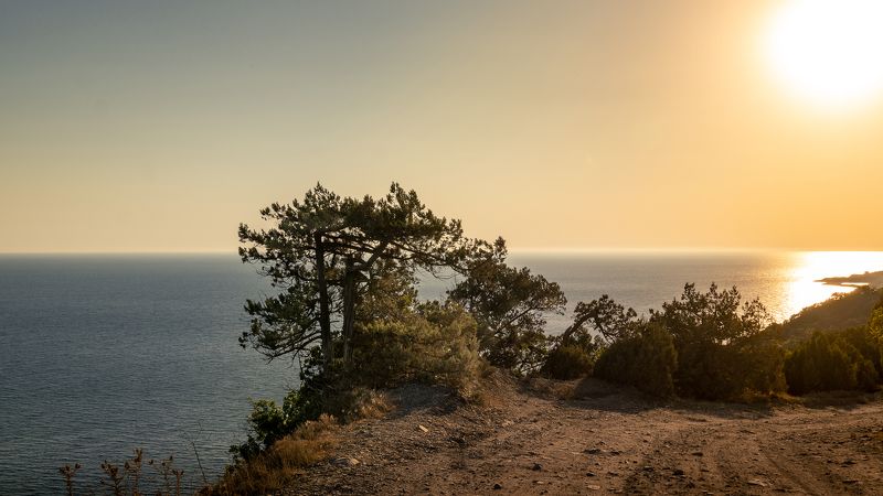 Август фото превью