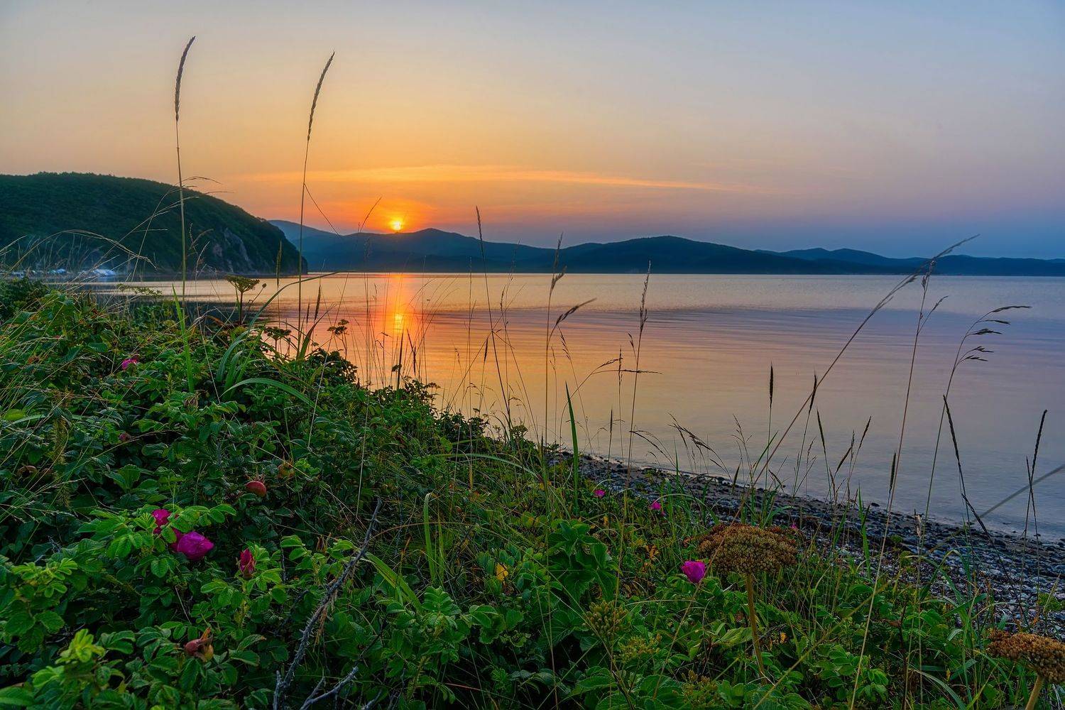 лето, море, закат,  залив владимира,  GeorgyPrimoretz