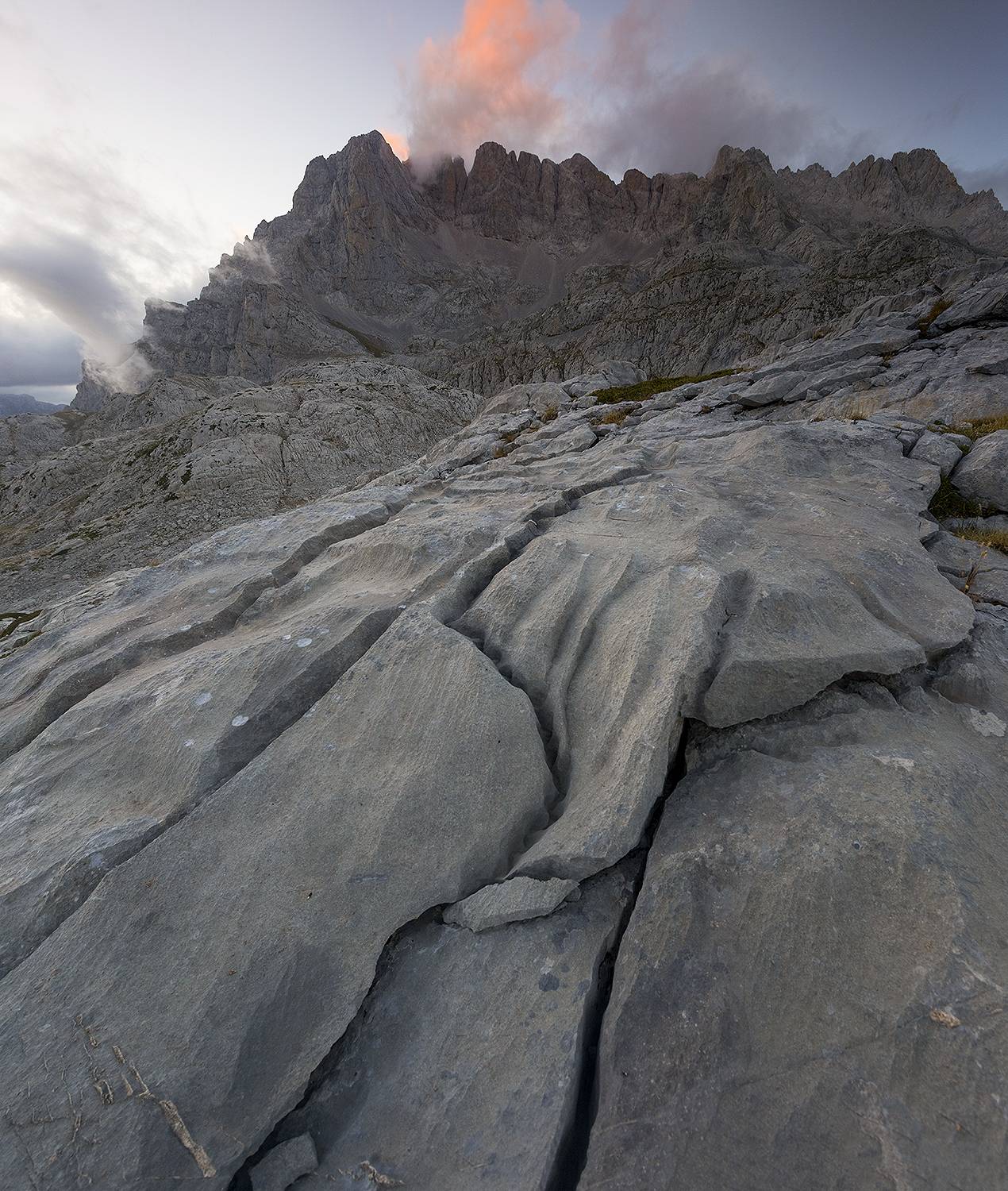 photography, mountain, spring, flower, landscape, photo, awakening, flowers, land, landmark, lands, dramatic ligth, ligth, mountains, jimenez millan samuel