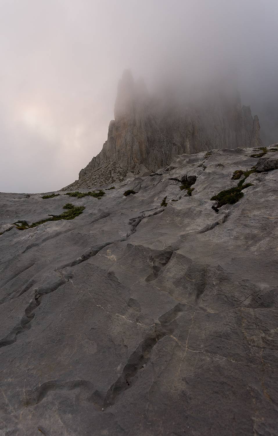 photography, mountain, spring, flower, landscape, photo, awakening, flowers, land, landmark, lands, dramatic ligth, ligth, mountains, jimenez millan samuel