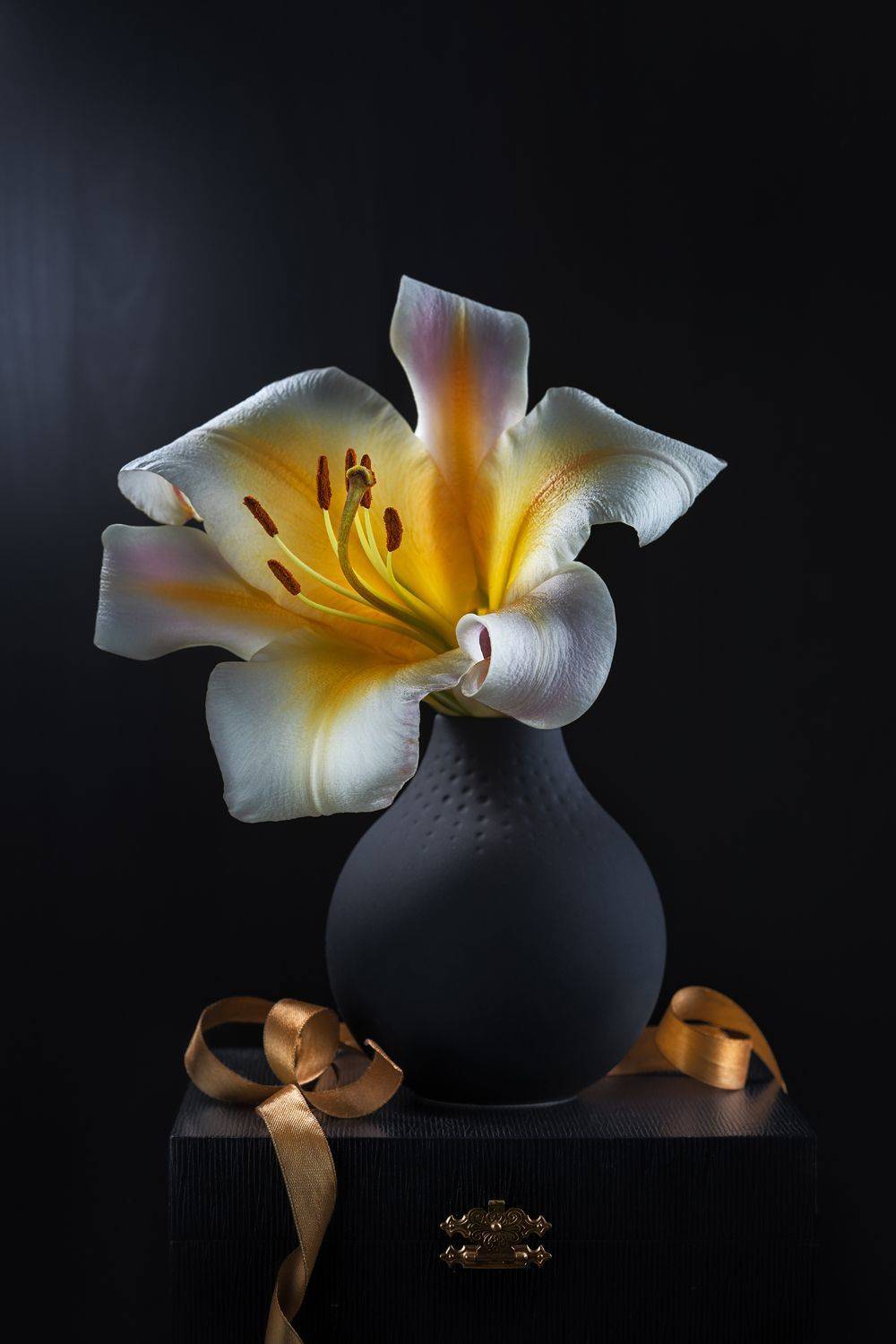 цветок, лилия, ваза, натюрморт, лепестки, растение, флора, ЯR Ольга