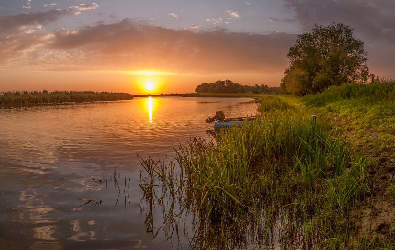 у села  камышово УТРО фото превью