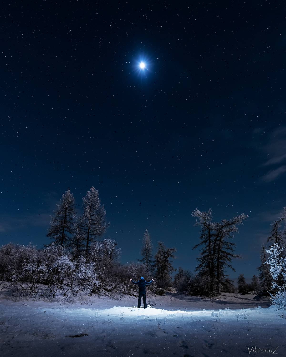звезды, лес. ночь, дрон, Куликов Виктор