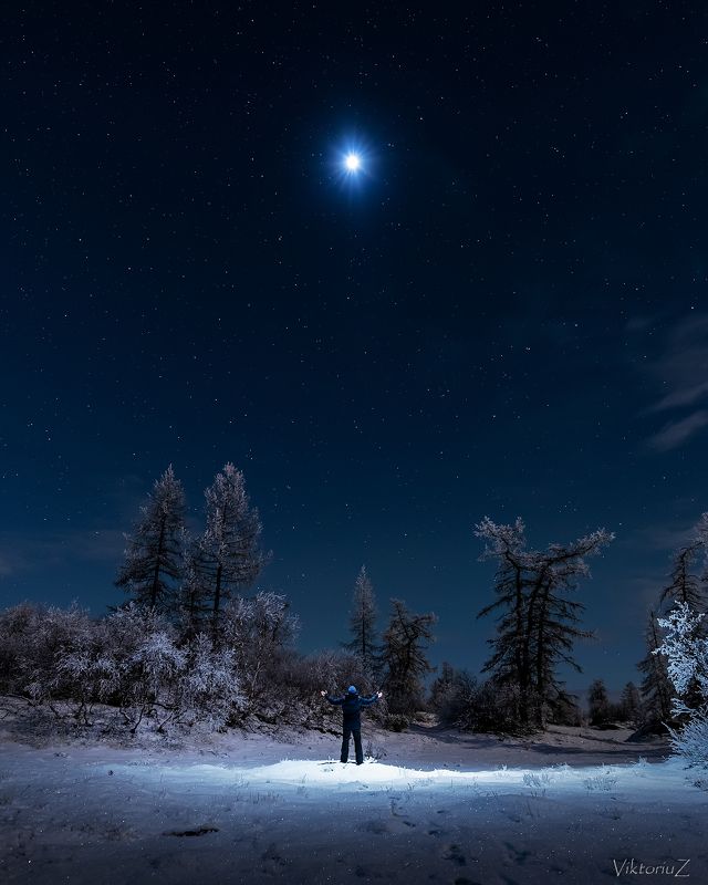 звезды, лес. ночь, дрон I WANT TO BELIEVE фото превью