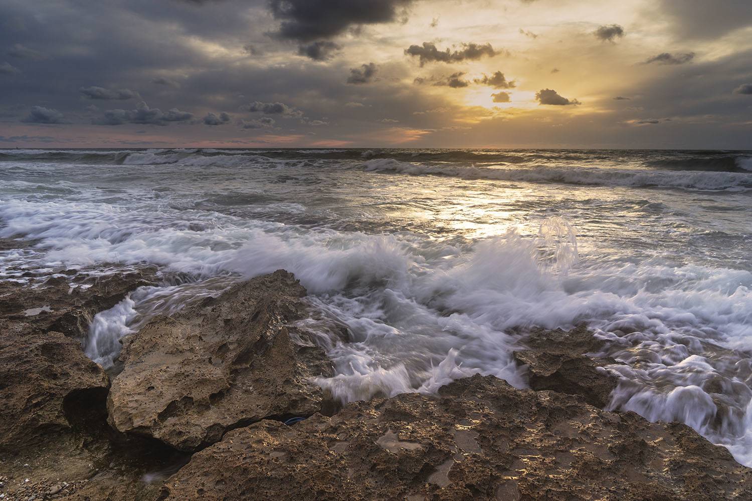 , Виктория Солодар