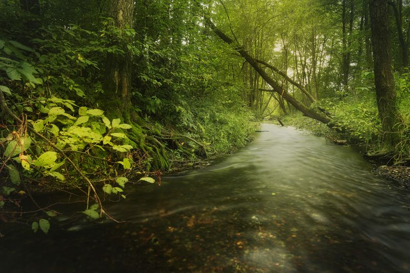 сказочная речка  фото превью