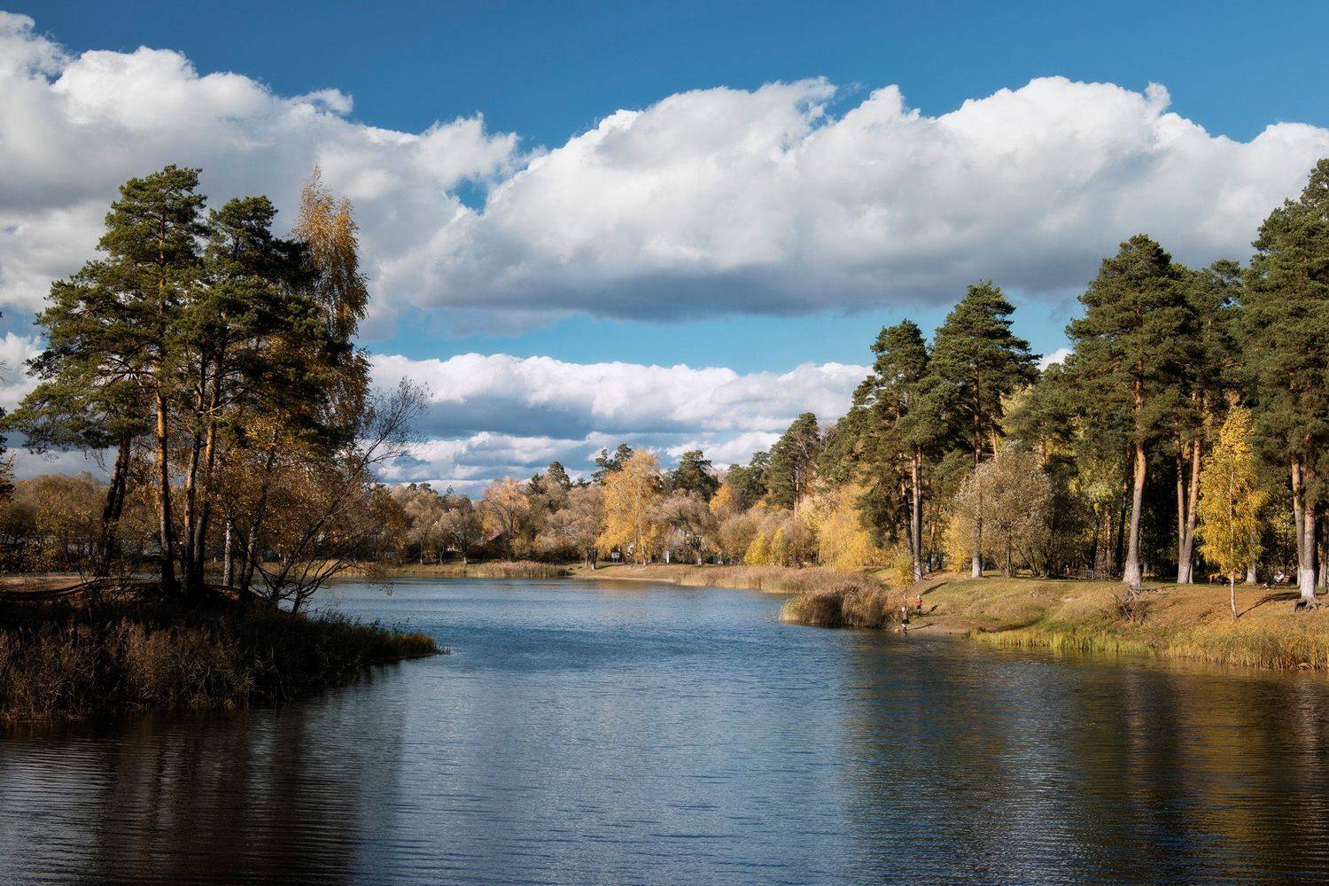 осень, небо, деревья, пруд, Валерий Вождаев