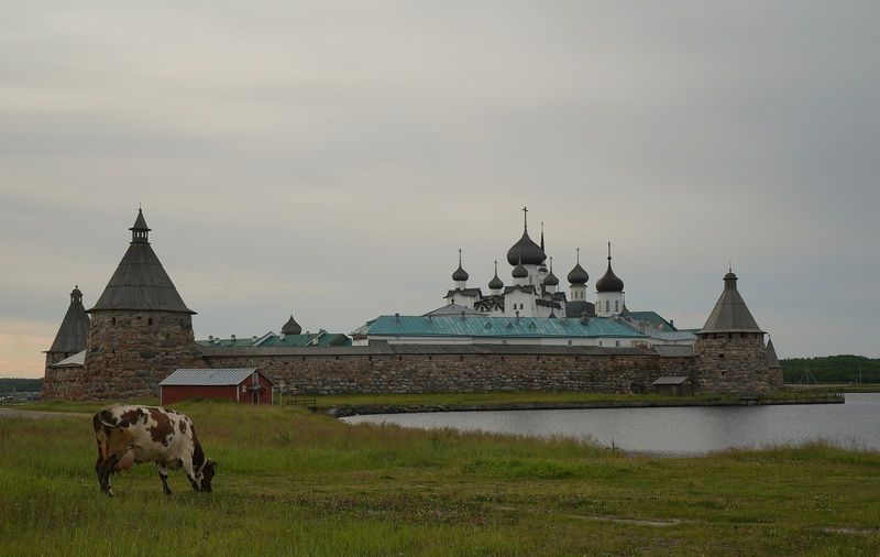 shore, monastery, fortress, reflection, sea, island, sky, summer, landscape, horizon, temple, bastion, symbol Solovki фото превью