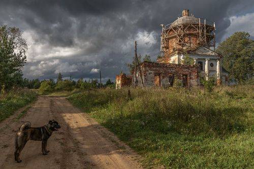 Перед дождем