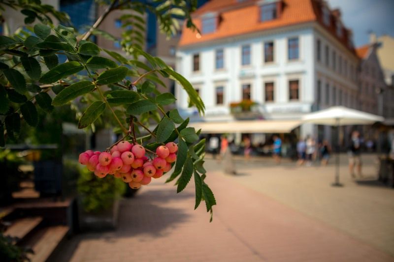 На фоне Старой Риги фото превью