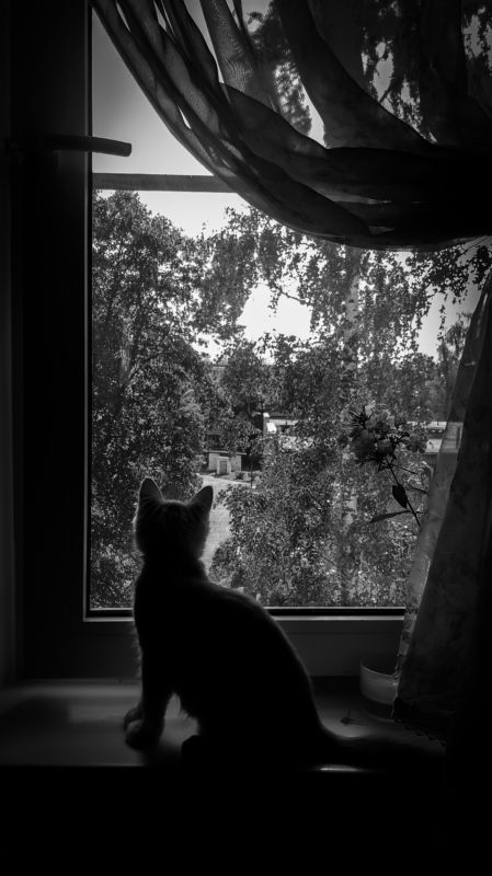 Что там, в будущем? фото превью