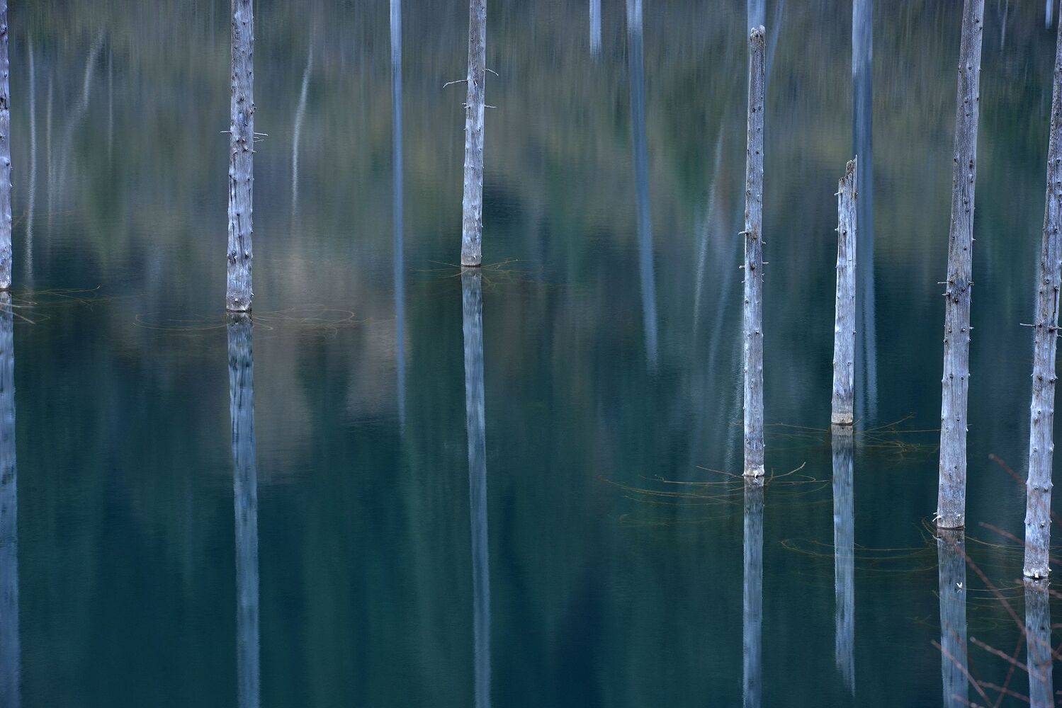 казахстан каинды джетысу, Кутыгин Эдуард