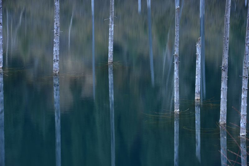 ... фото превью
