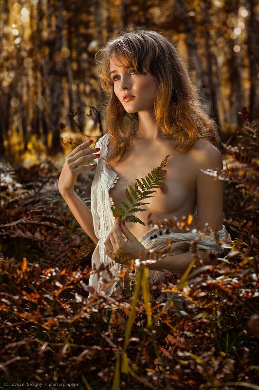 Цветок папоротника фото превью