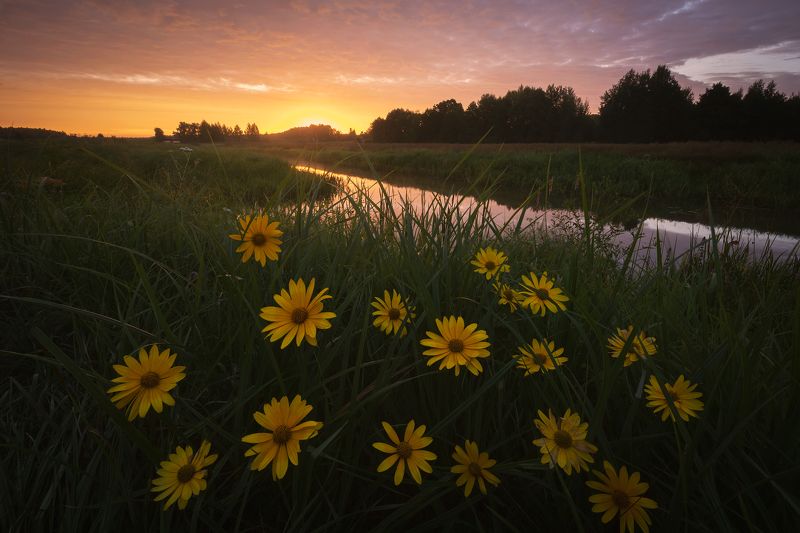 Рассветные краски августа фото превью