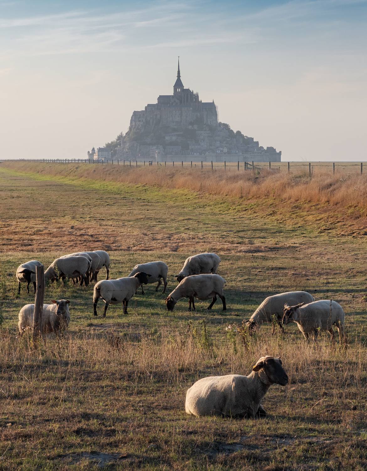 вечер, утро, замок, крепость, остров, франция, нормандия, мон-сен-мишель, мон сен мишель, mont-saint-michel, mont saint michel, france, evening, morning, island, fortress, abbey, rural, river, mont saint-michel, Эрнест Вахеди