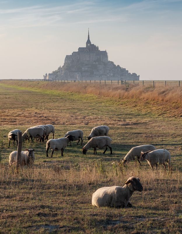 вечер, утро, замок, крепость, остров, франция, нормандия, мон-сен-мишель, мон сен мишель, mont-saint-michel, mont saint michel, france, evening, morning, island, fortress, abbey, rural, river, mont saint-michel Мон-Сен-Мишель / Mont-Saint-Michel фото превью