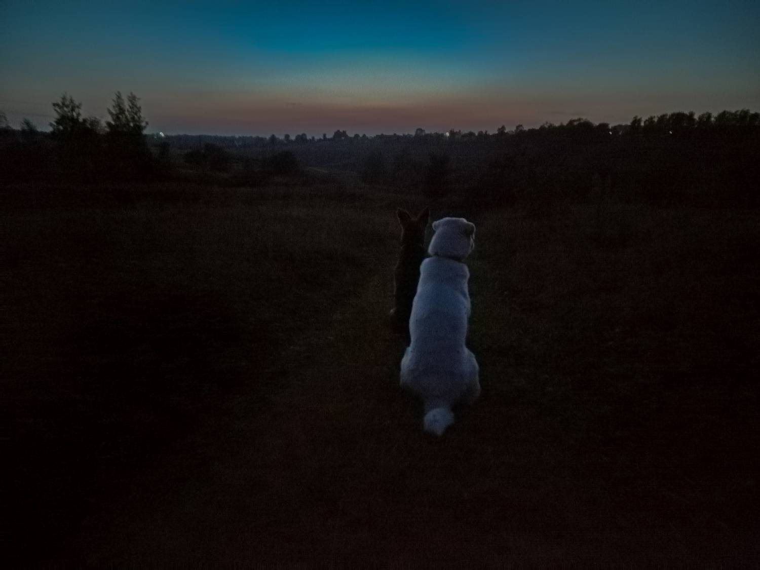 , Светлана Кондрашова