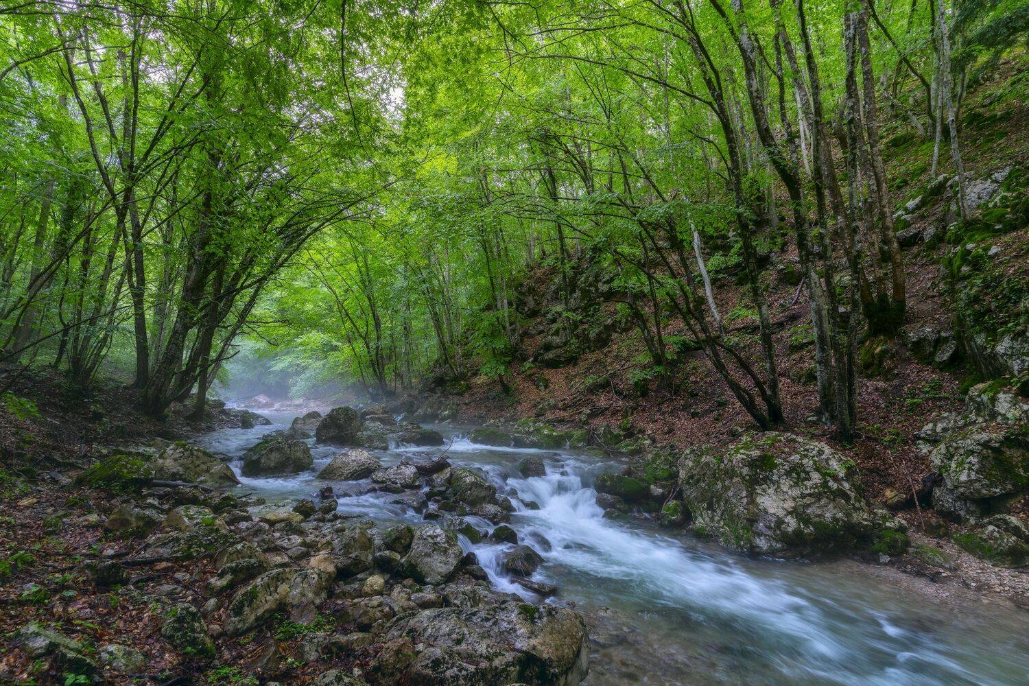 , Юлия Мальцева