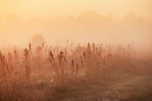 До Свидания, Лето!