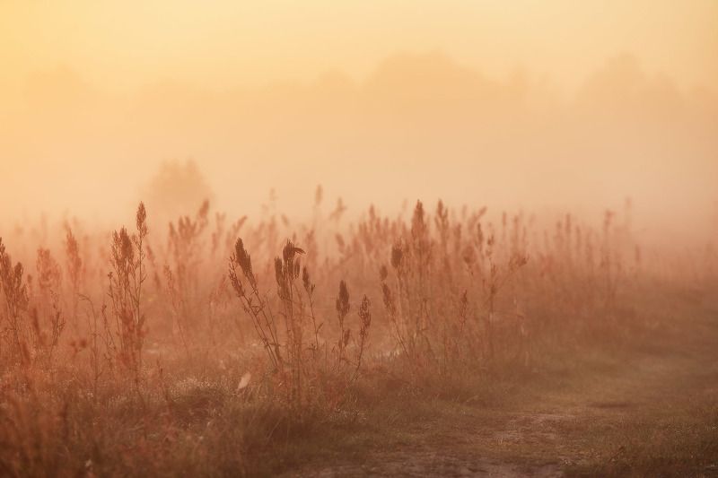 До Свидания, Лето! фото превью