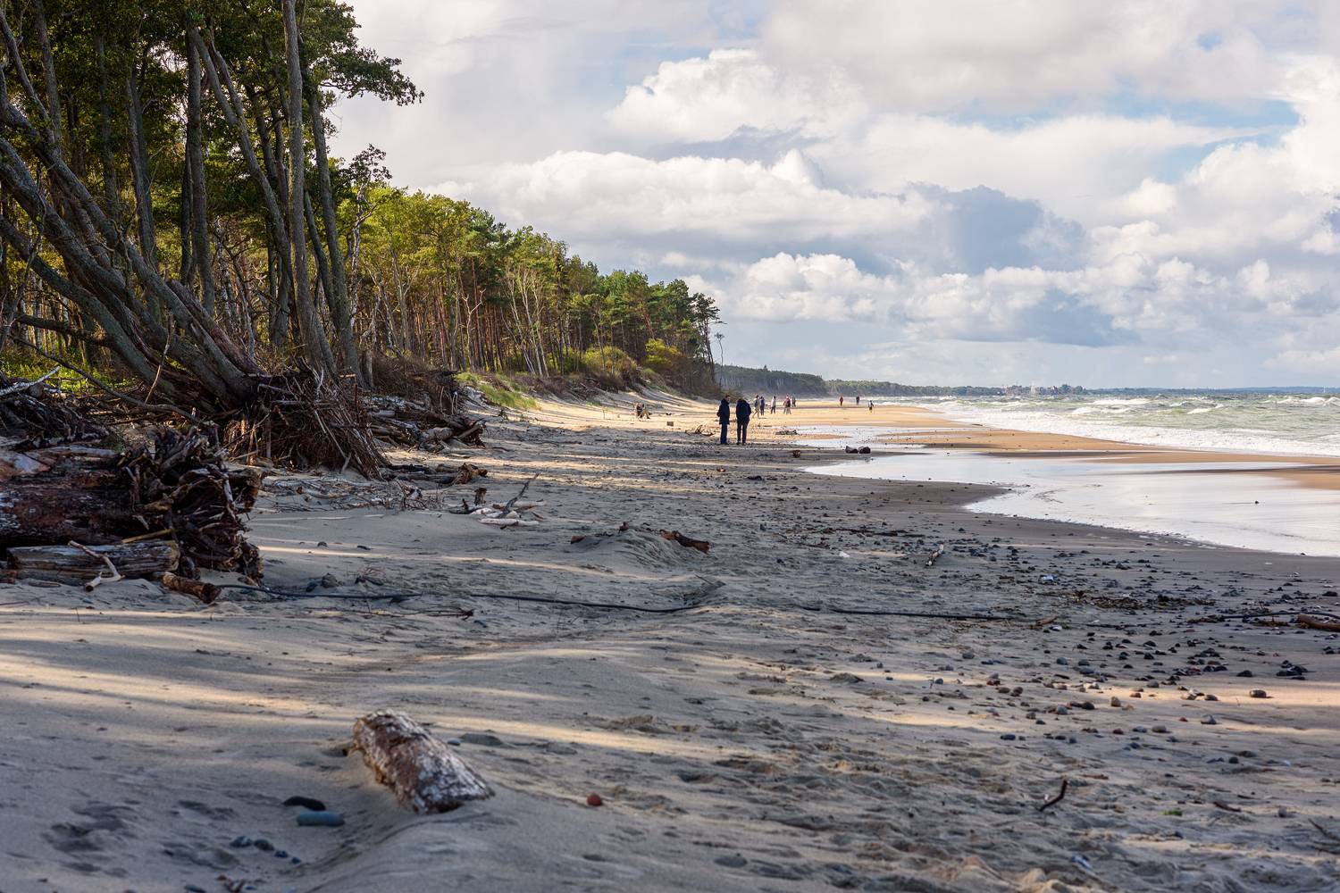 , Нуждин Андрей