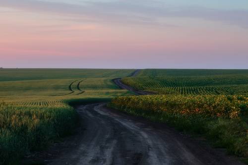 Среди полей