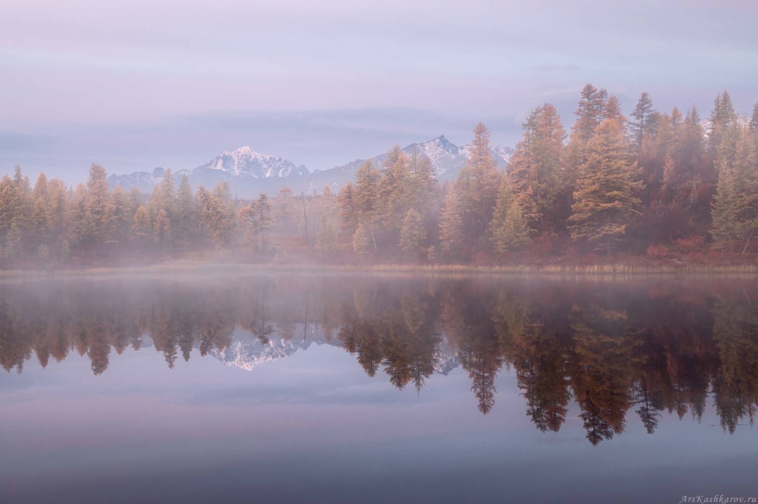 колыма, озеро джека лондона, стоозерка, магаданская область, дальний восток, лиственницы, лесотундра, тайга, Арсений Кашкаров