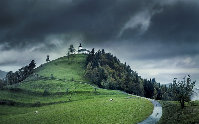 + фото превью