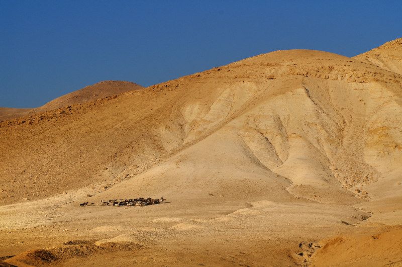Samaria-Shomron,Israel фото превью