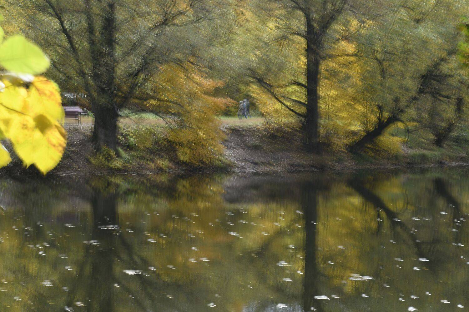 , Аникеев Владимир