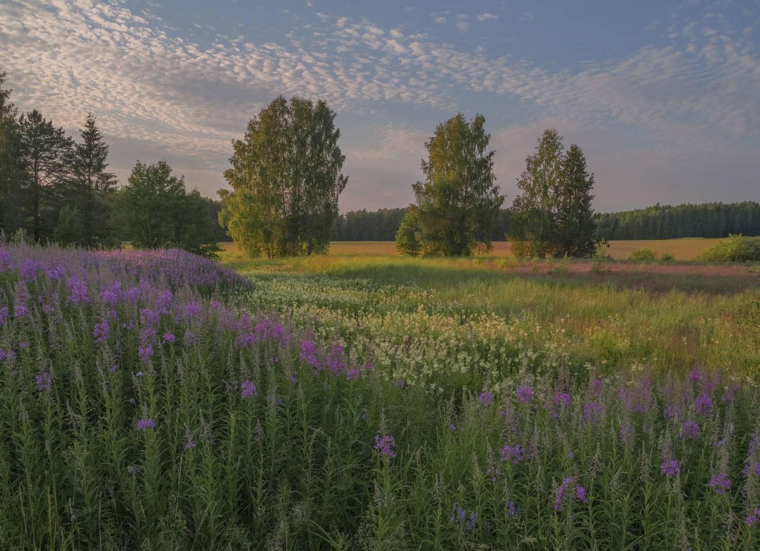 Фототуры с Владимиром Рябковым,#topnature #russpasibo #magic_shots #lovelyRussia #sunset_vision #exclusive_sky  #exclusive_shots #loves_russia2 #photoarena_nature #nature_sultans #nature_perfection #rsa_sky #rsa_sunset #photorussia #rsa_naturepics #sunset, Владимир Рябков
