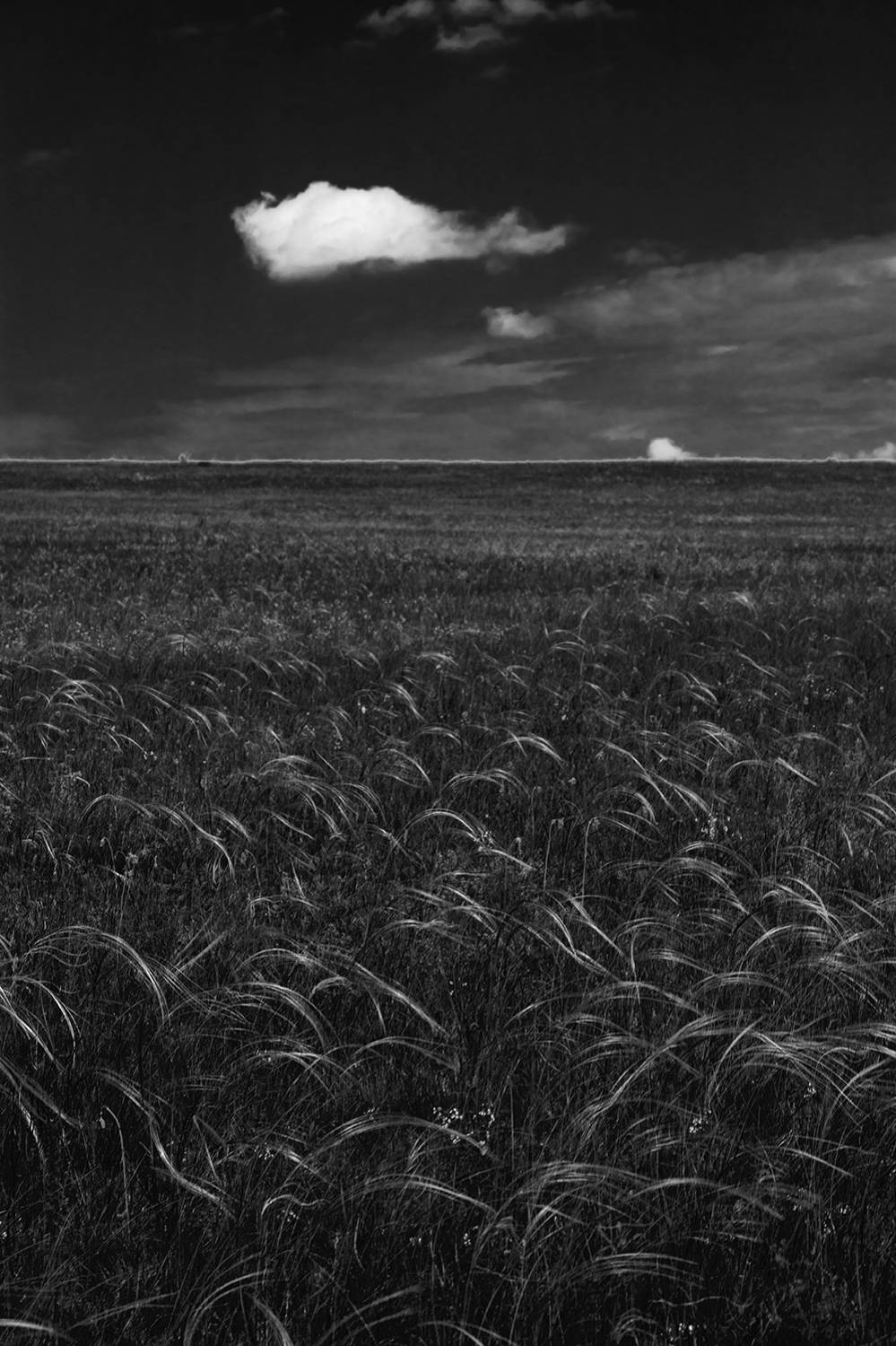 , Роман Рыжков