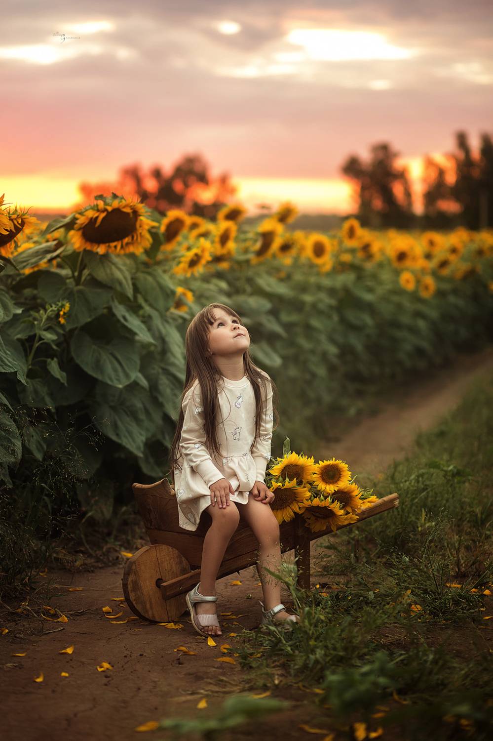 , Гаманова Элина