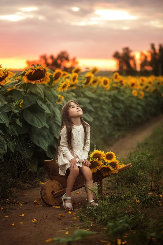 *** фото превью