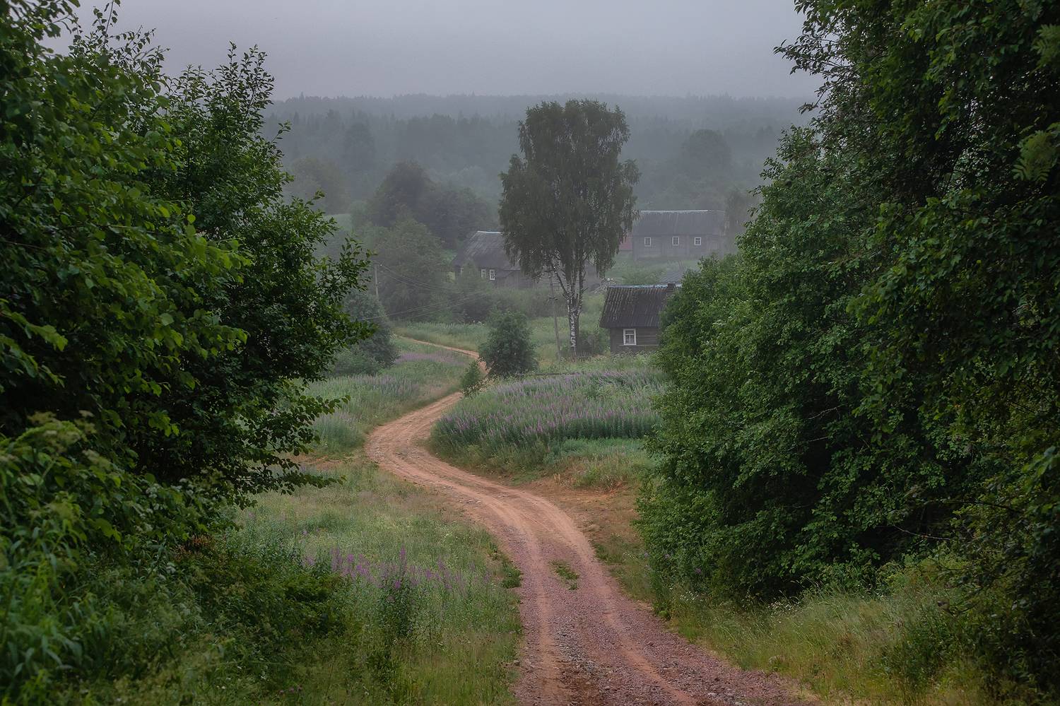 , Александр Пашеничев