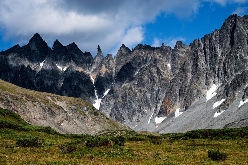 Ганальские востряки  фото превью