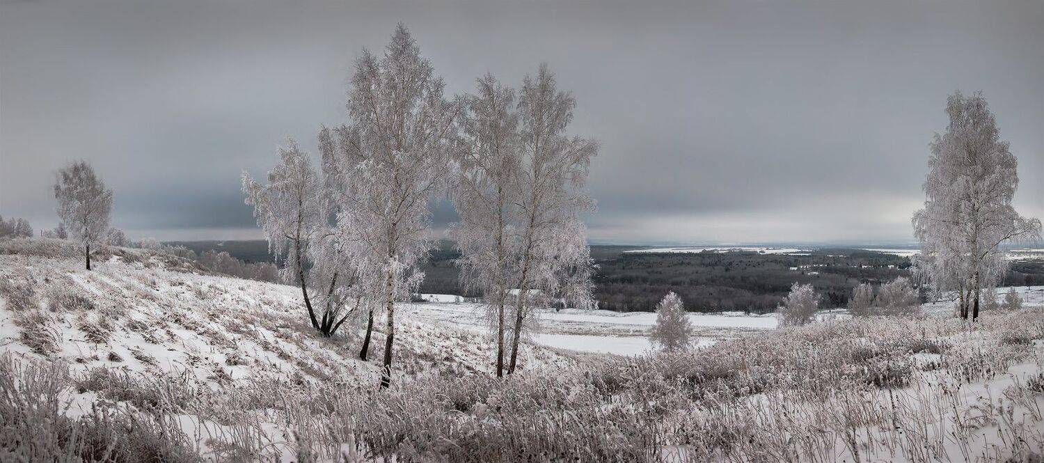 , Алексей Хахлов