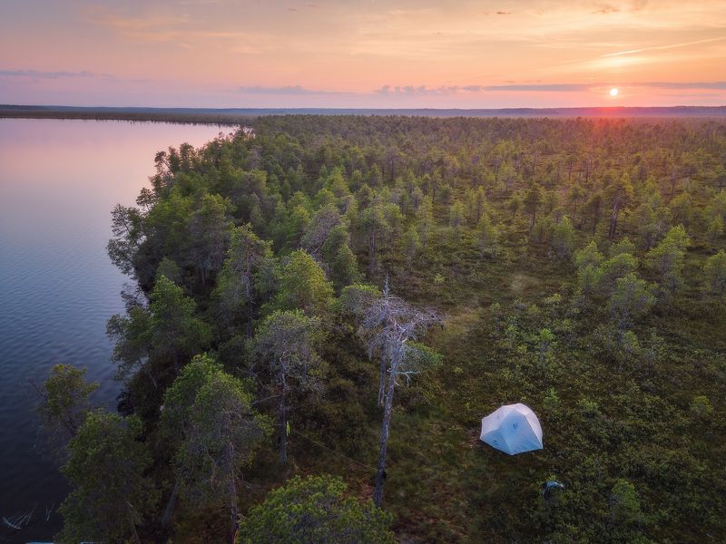 пейзаж, закат, сосны, болото, север, landscape, sunset, swamp, north, pines Последние минуты солнца перед сном фото превью