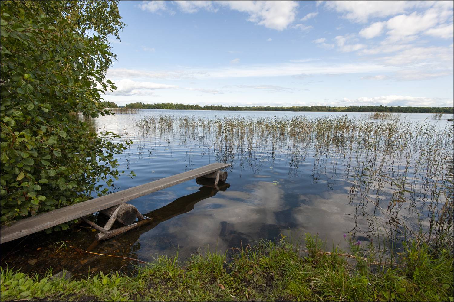 , Георгий Сапожников