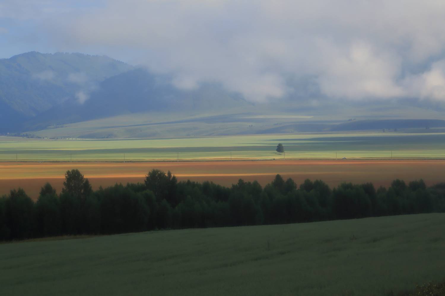 , Евгений Зинов