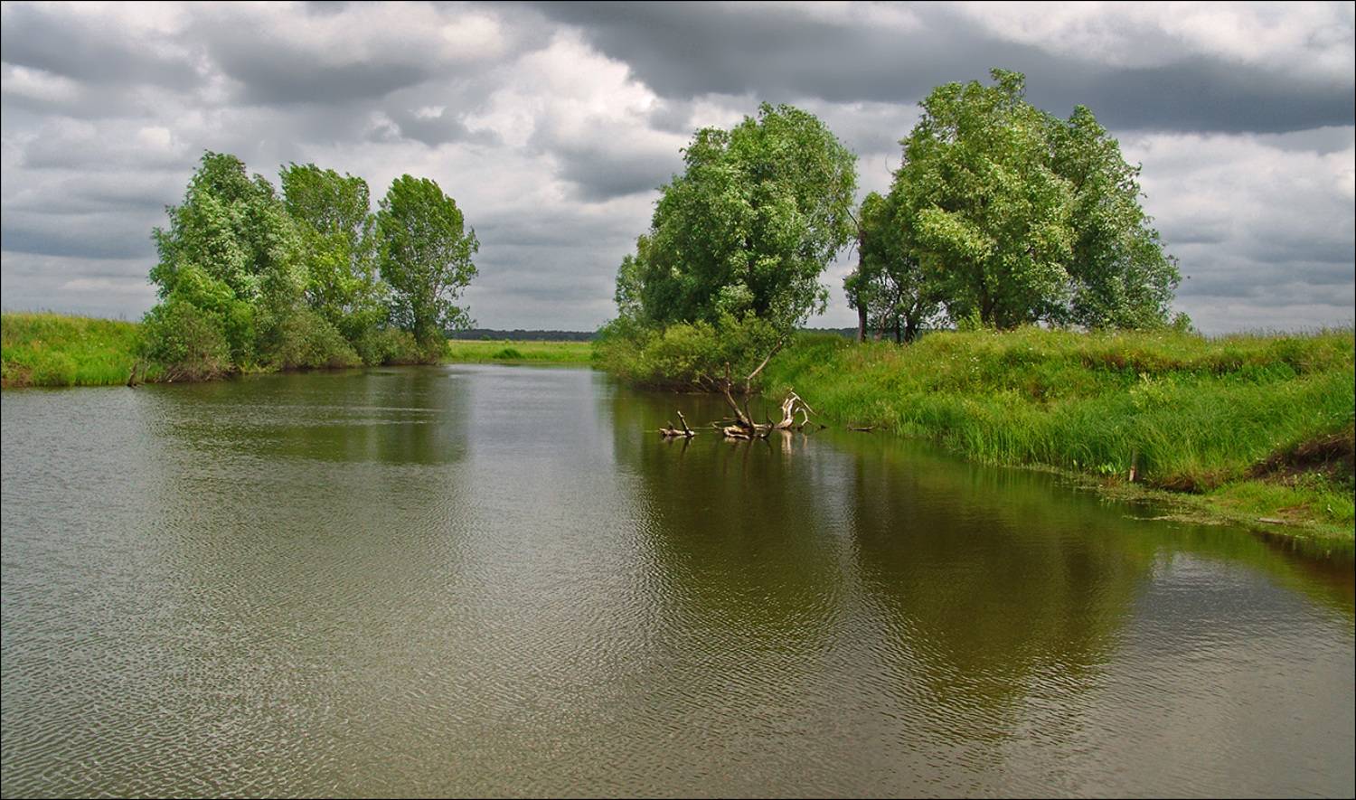 рязанщина, Тарасов Алексей